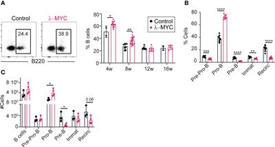 Activation-induced deaminase expression defines mature B cell lymphoma in the mouse